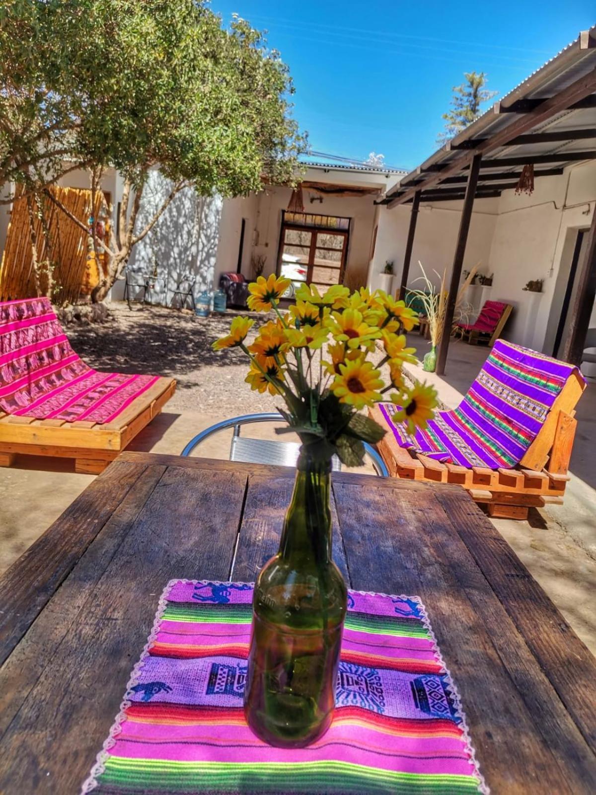 Nattivo Atacama *